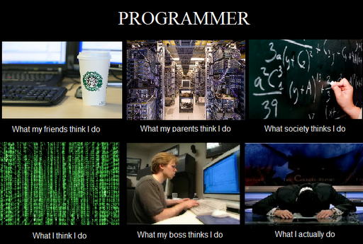 Programming Meme