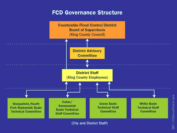 Project Governance Structure Diagram