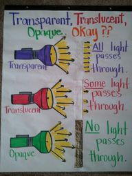 Properties Of Light Worksheet For Kids