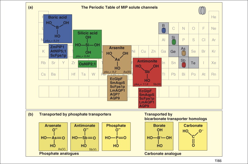 Properties Of Metals Nonmetals And Metalloids Ppt