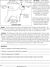 Properties Of Water Worksheet Answer