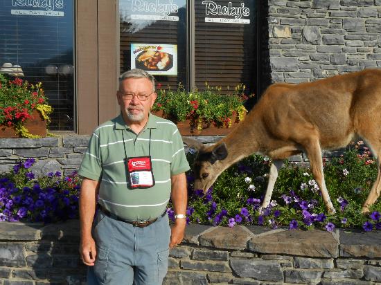 Ptarmigan Inn