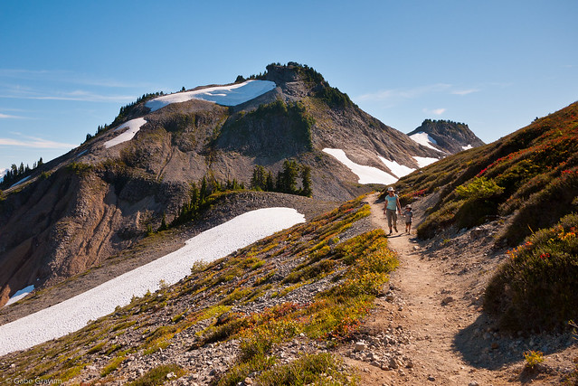 Ptarmigan Ridge