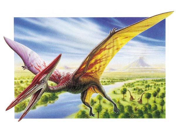 Pteranodon