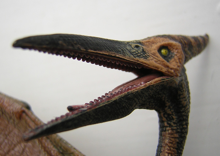 Pteranodon