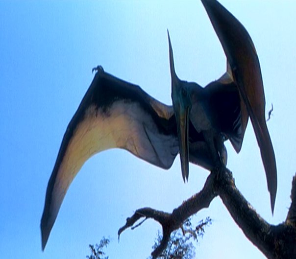 Pteranodon