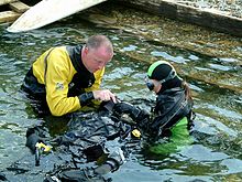 Public Safety Diver Jobs