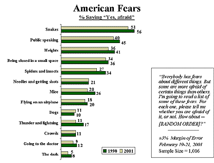 Public Speaking Fear