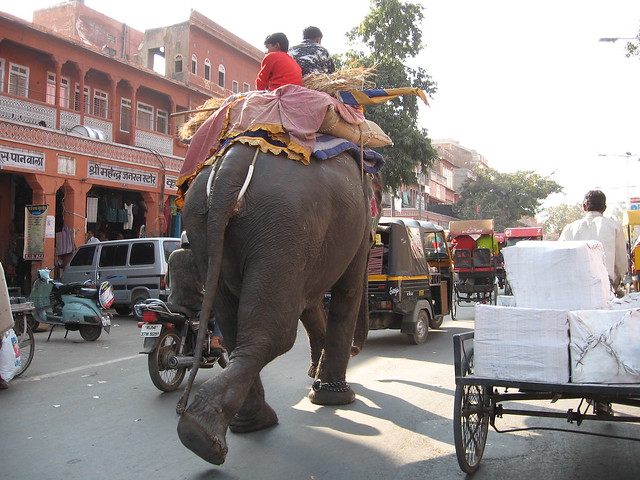 Public Transportation In India