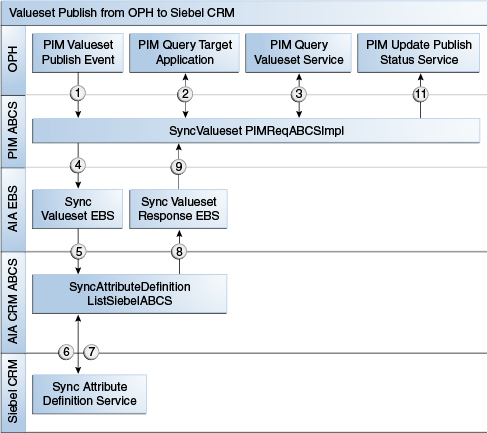 Publication Process Steps