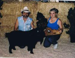 Pygmy Goats As Pets In California