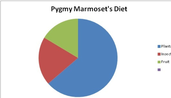 Pygmy Marmoset Facts