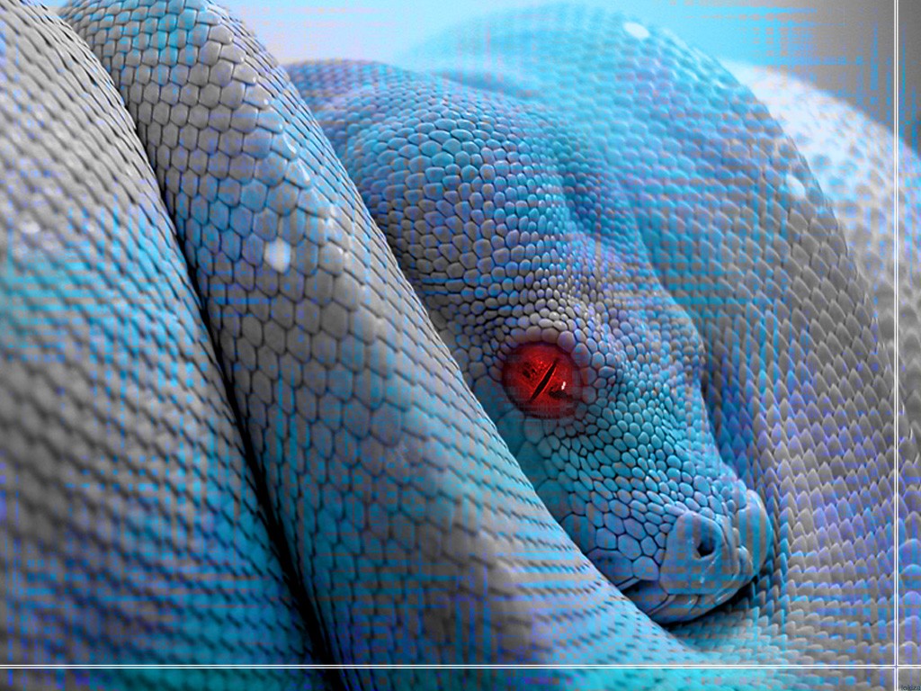 Python Code Wallpaper