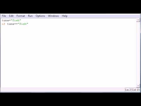 Python Programming Tutorial Bucky