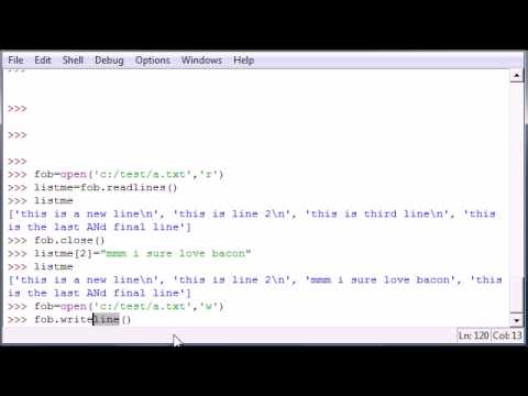 Python Programming Tutorial Bucky