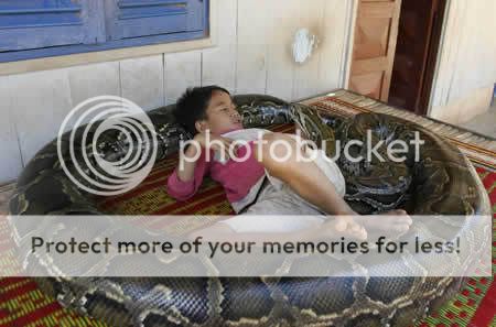 Python Snake Eating People