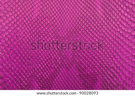 Python Snake Skin Pattern