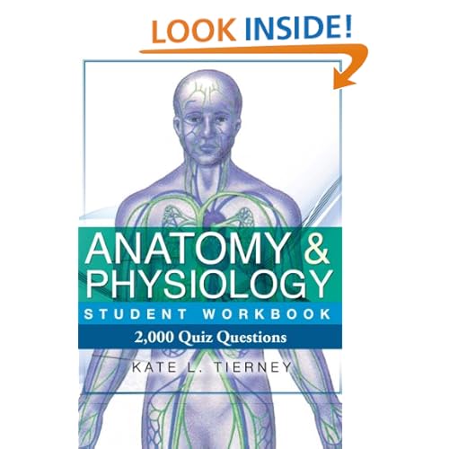 Quizlet Anatomy And Physiology Chapter 6