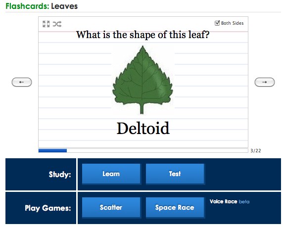 Quizlet Icon