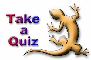 Quizzes Online