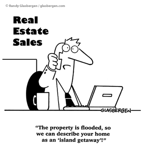 Real Estate Agent Cartoon