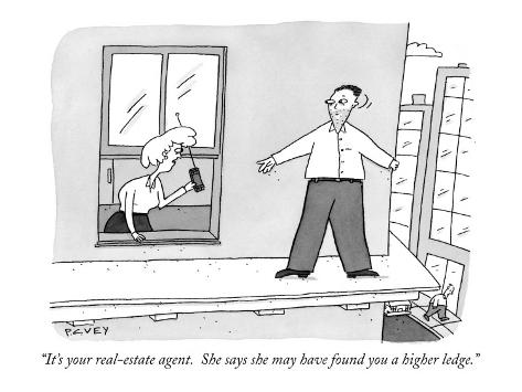 Real Estate Agent Cartoon