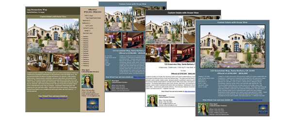 Real Estate Flyers