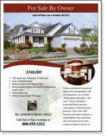 Real Estate Flyers Examples