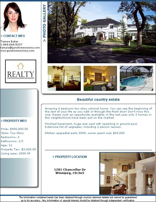 Real Estate Flyers Examples