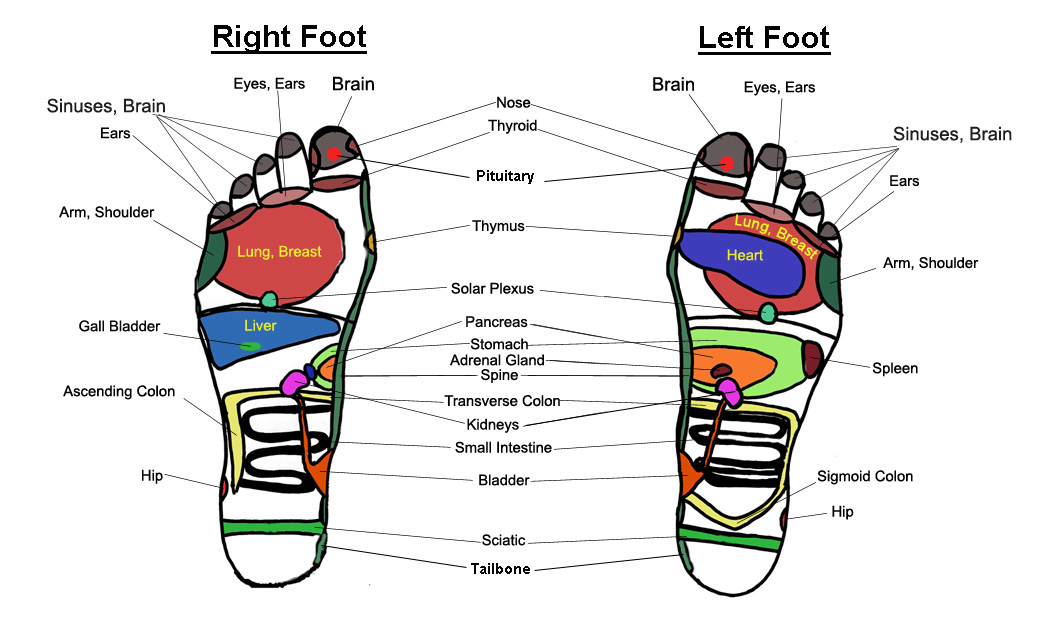 Reflexology Pressure Points Chart