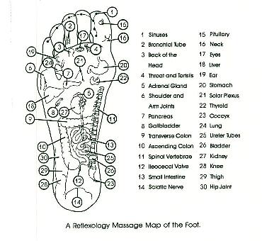 Reflexology Pressure Points On Feet