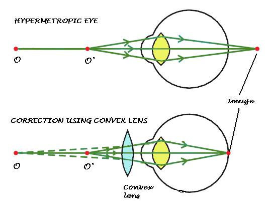 Resources And Development Class 10 Ncert Solutions