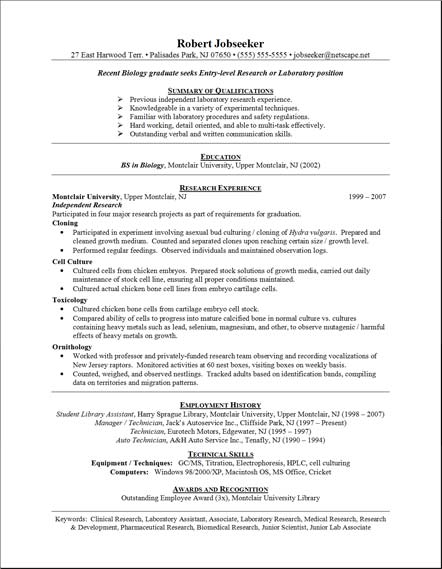 Resumes Format For Freshers Engineers