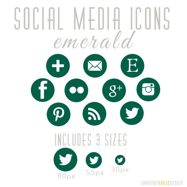 Round Social Media Icons Instagram