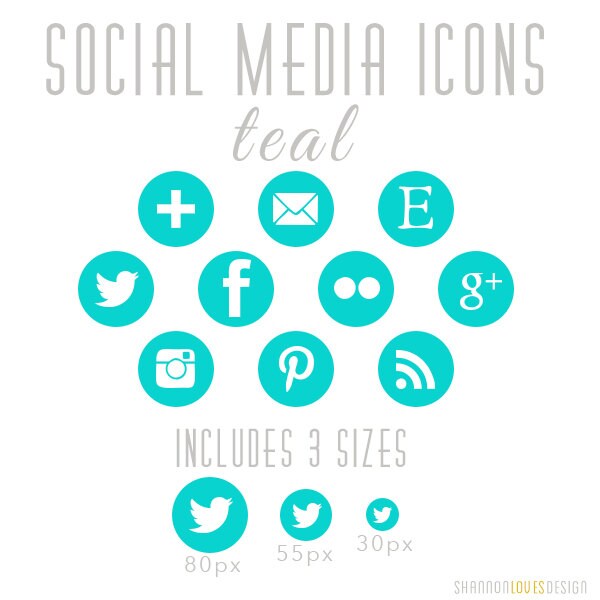 Round Social Media Icons Instagram