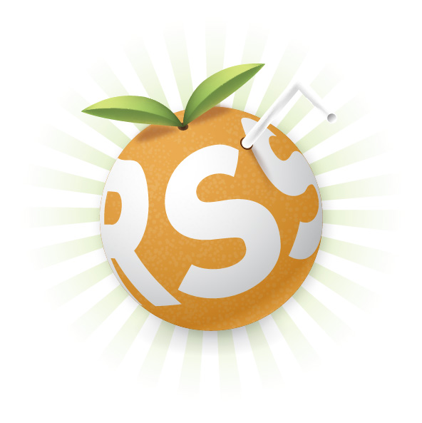 Rss Feed Logo Vector