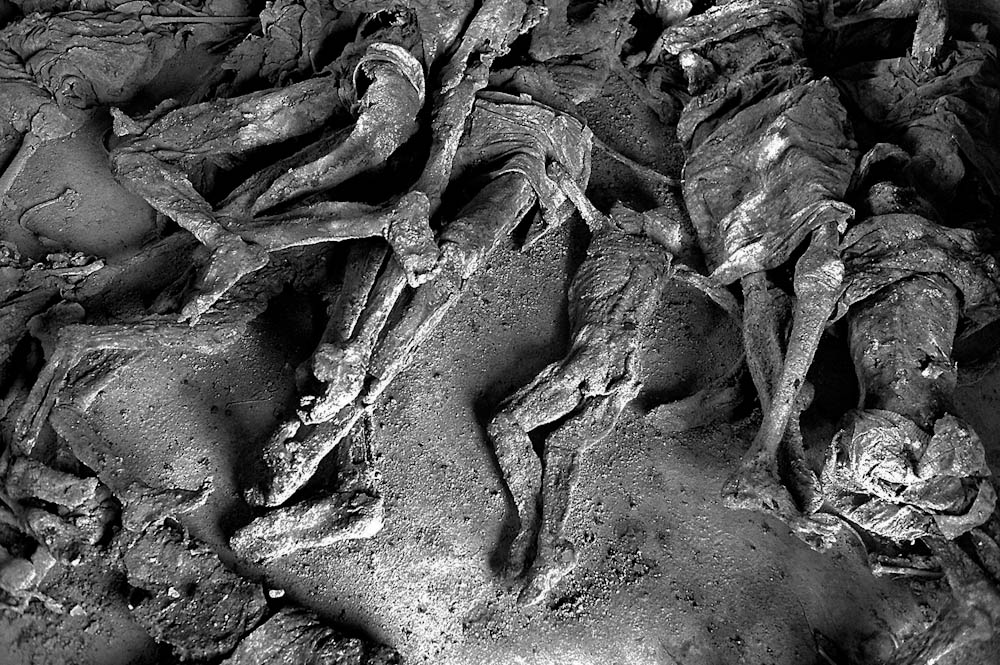 Rwanda Genocide 1994 Pictures