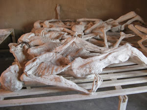 Rwanda Genocide