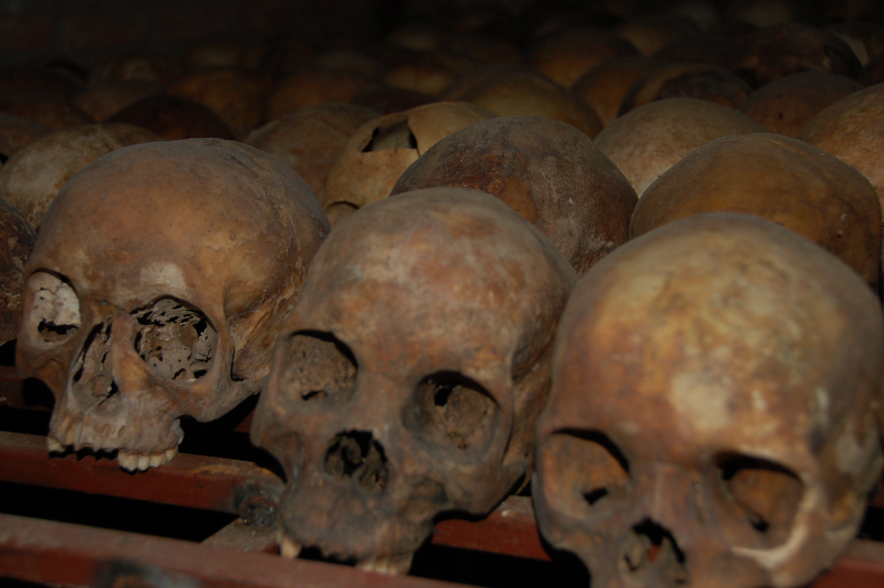 Rwandan Genocide