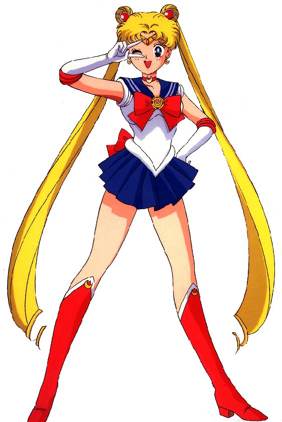 Sailor Moon Costume