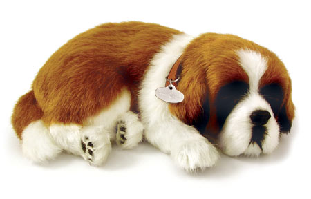 Saint Bernard