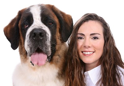 Saint Bernard Dog Breed Info