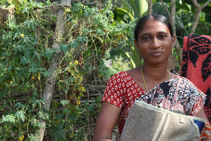 Salary Vegetable In Telugu