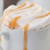 Salted Caramel Cake Pops Starbucks Recipe