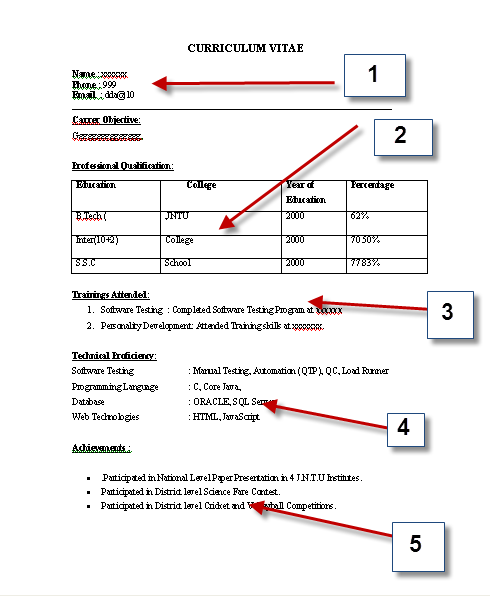 Sample Resumes For Freshers Download