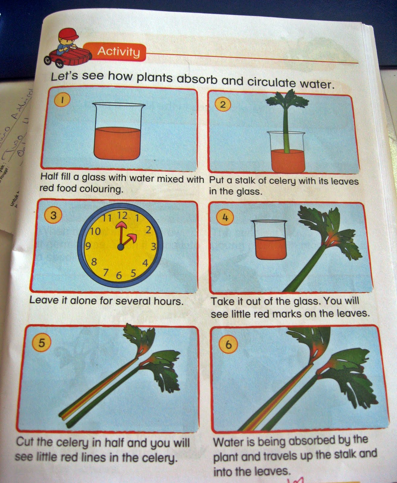 Science Experiments For Class 9th