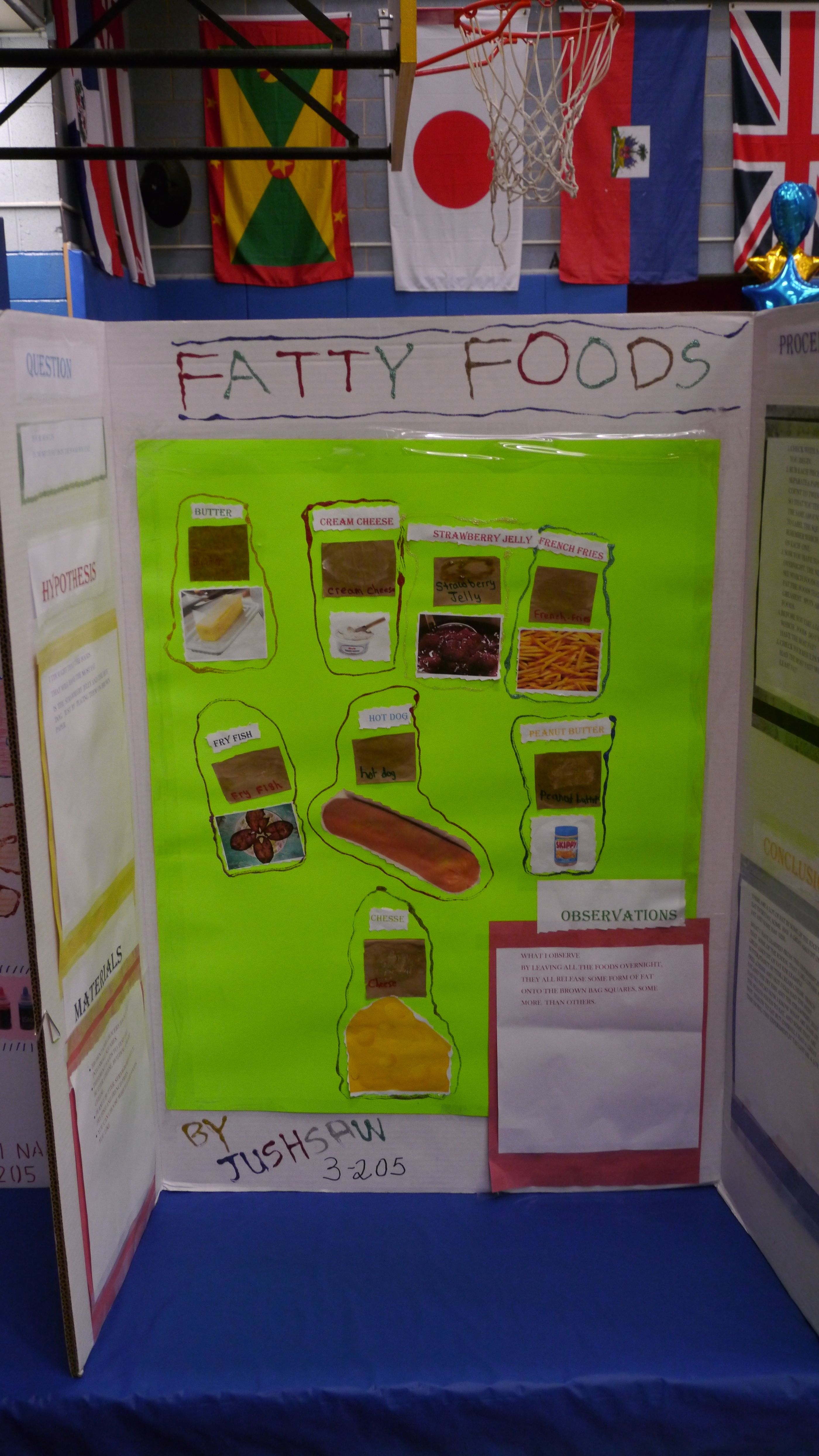 Science Fair Projects For 5th Grade Girls