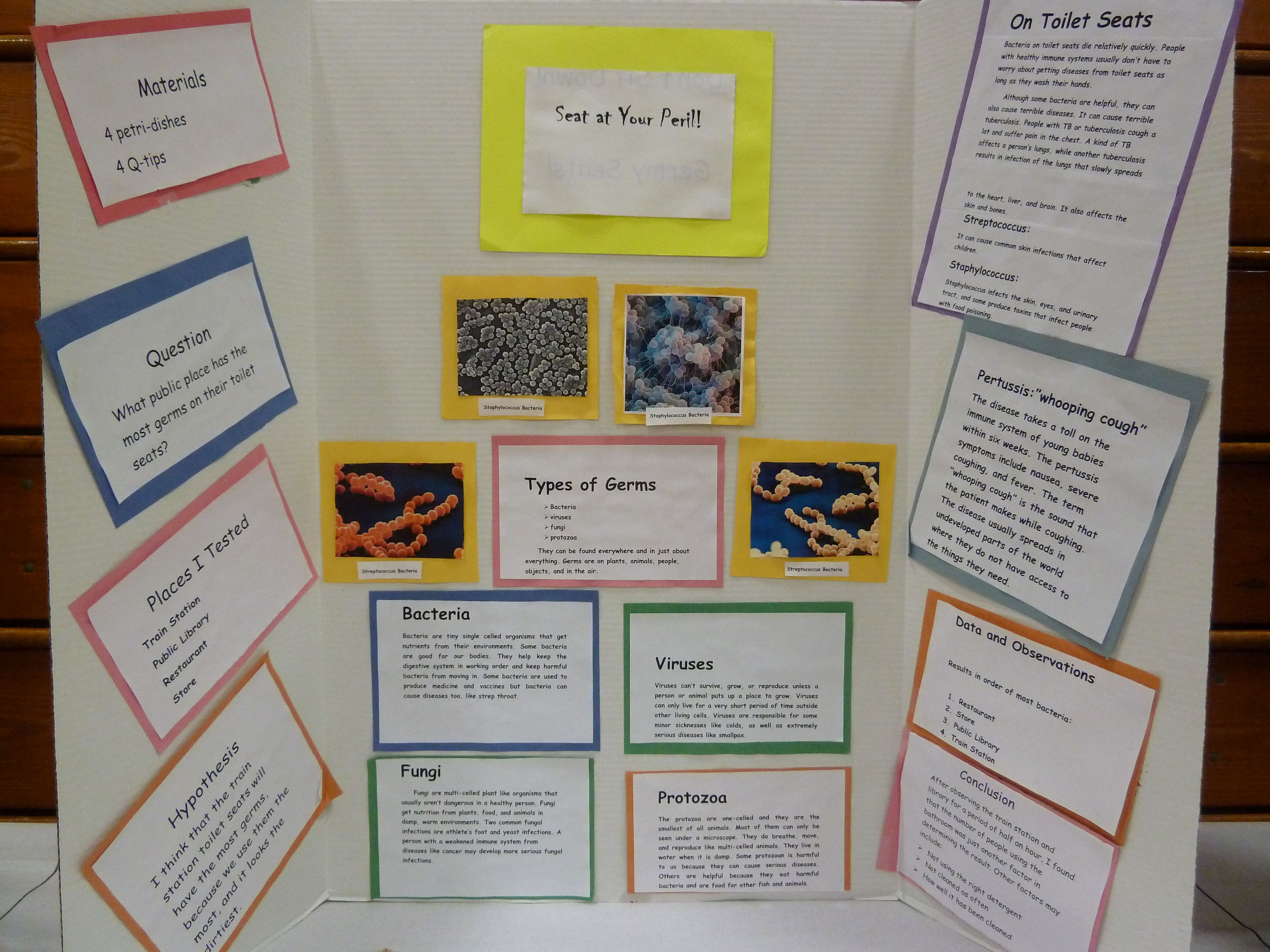 Science Fair Projects For 5th Graders