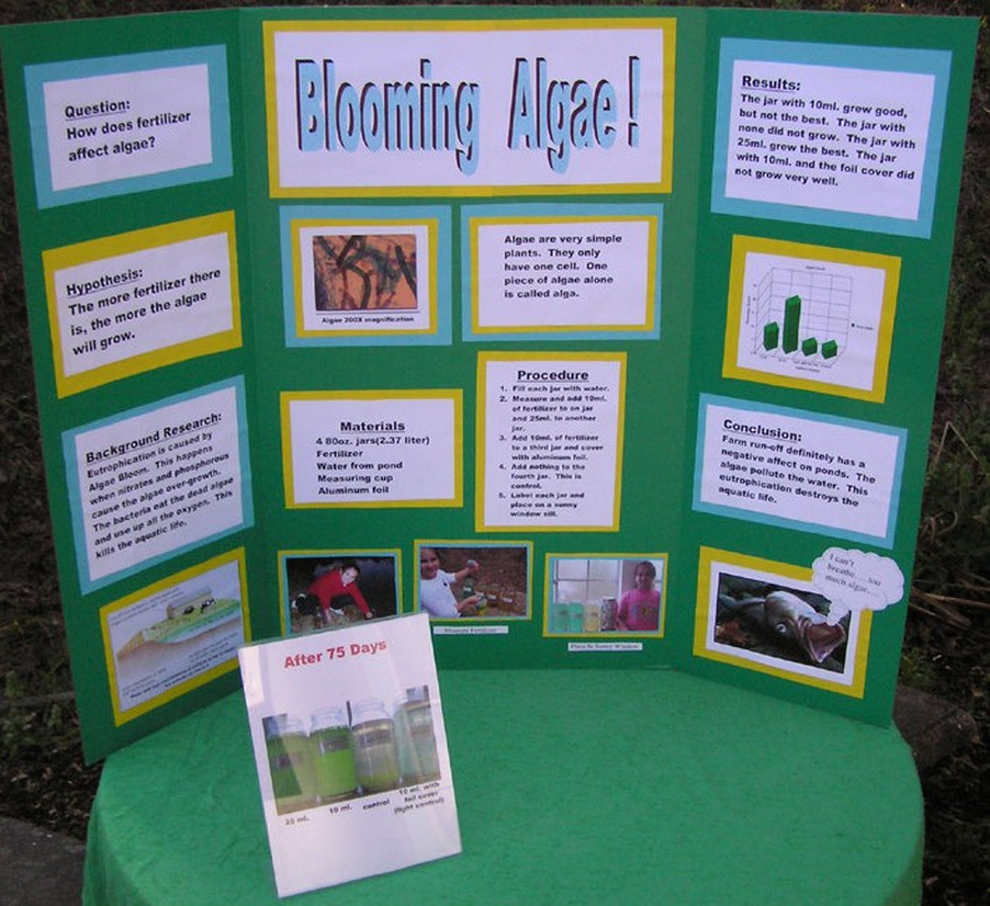 Science Fair Projects For 5th Graders Ideas