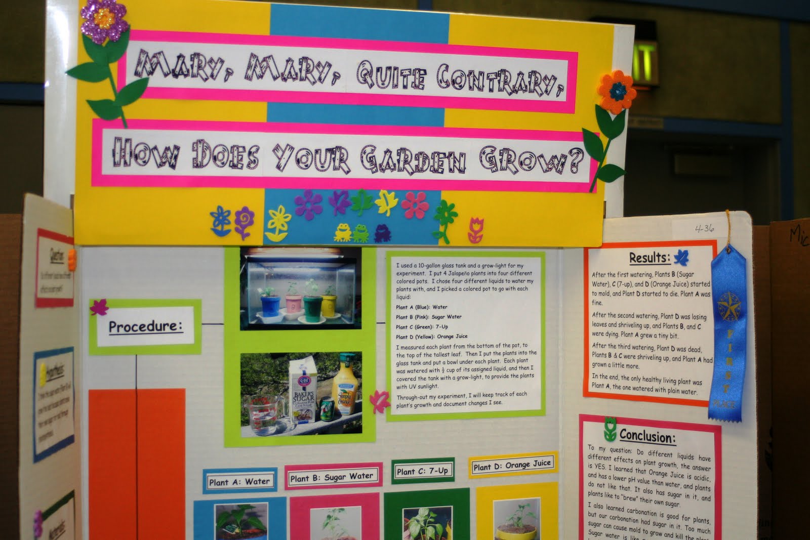 Science Fair Projects For 7th Grade